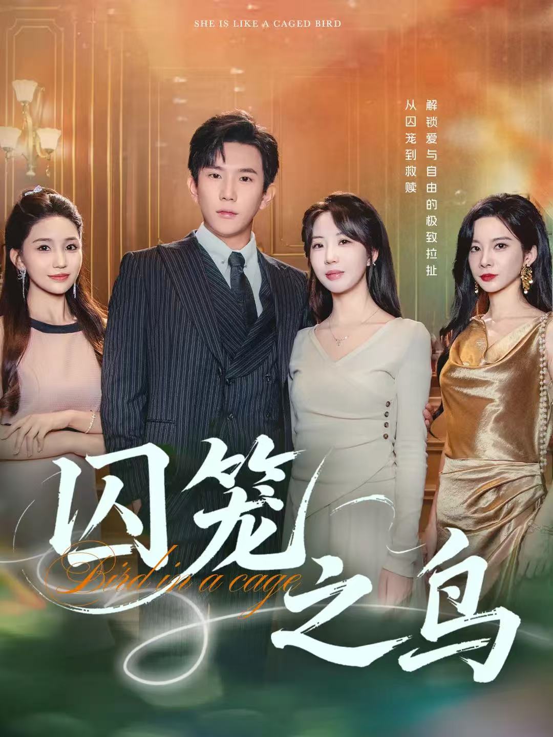 囚笼之鸟-都市言情海报