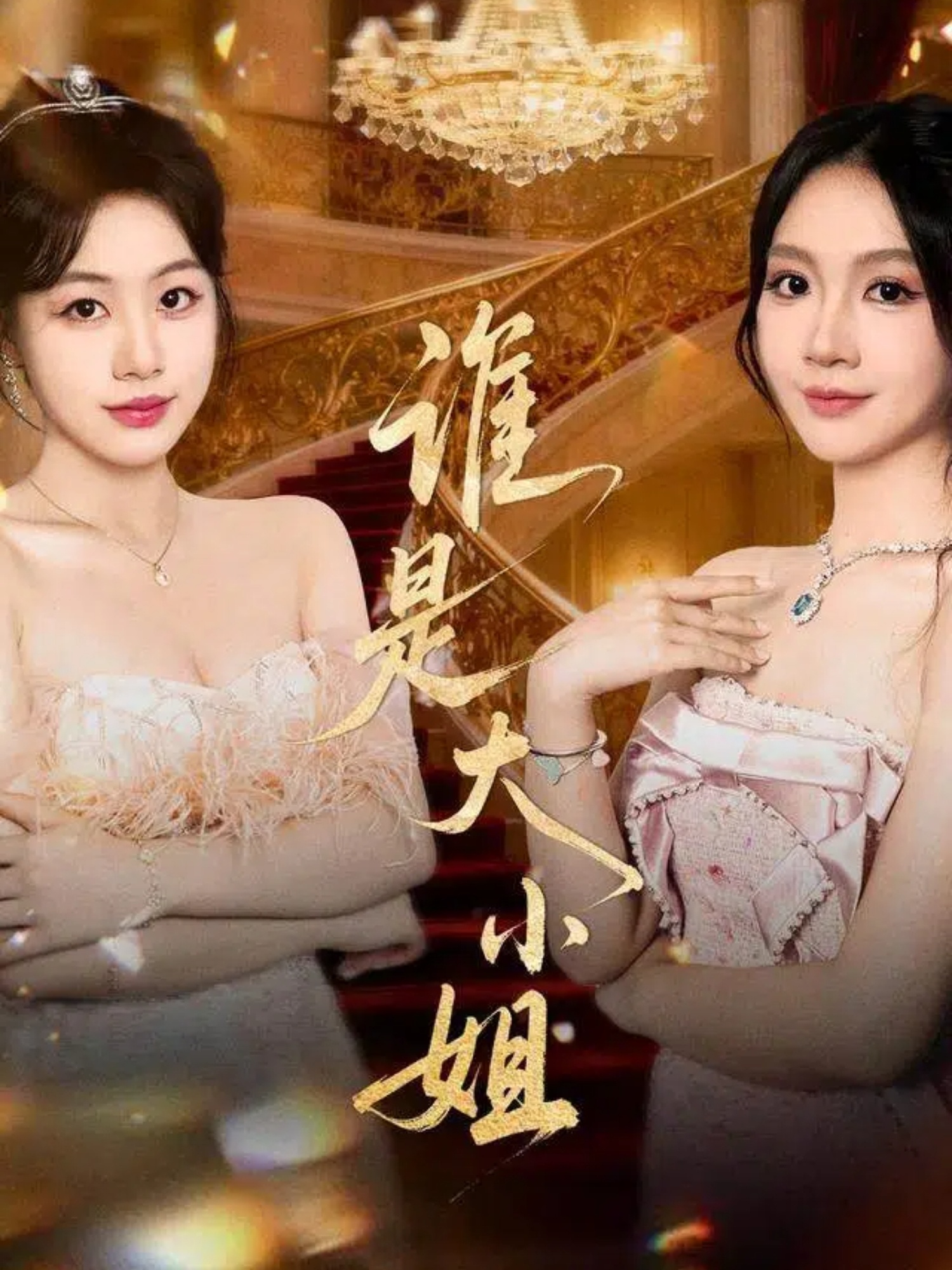 谁是大小姐-家庭情感海报