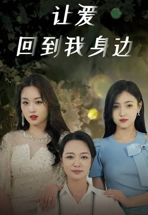 让爱回到我身边-家庭情感海报