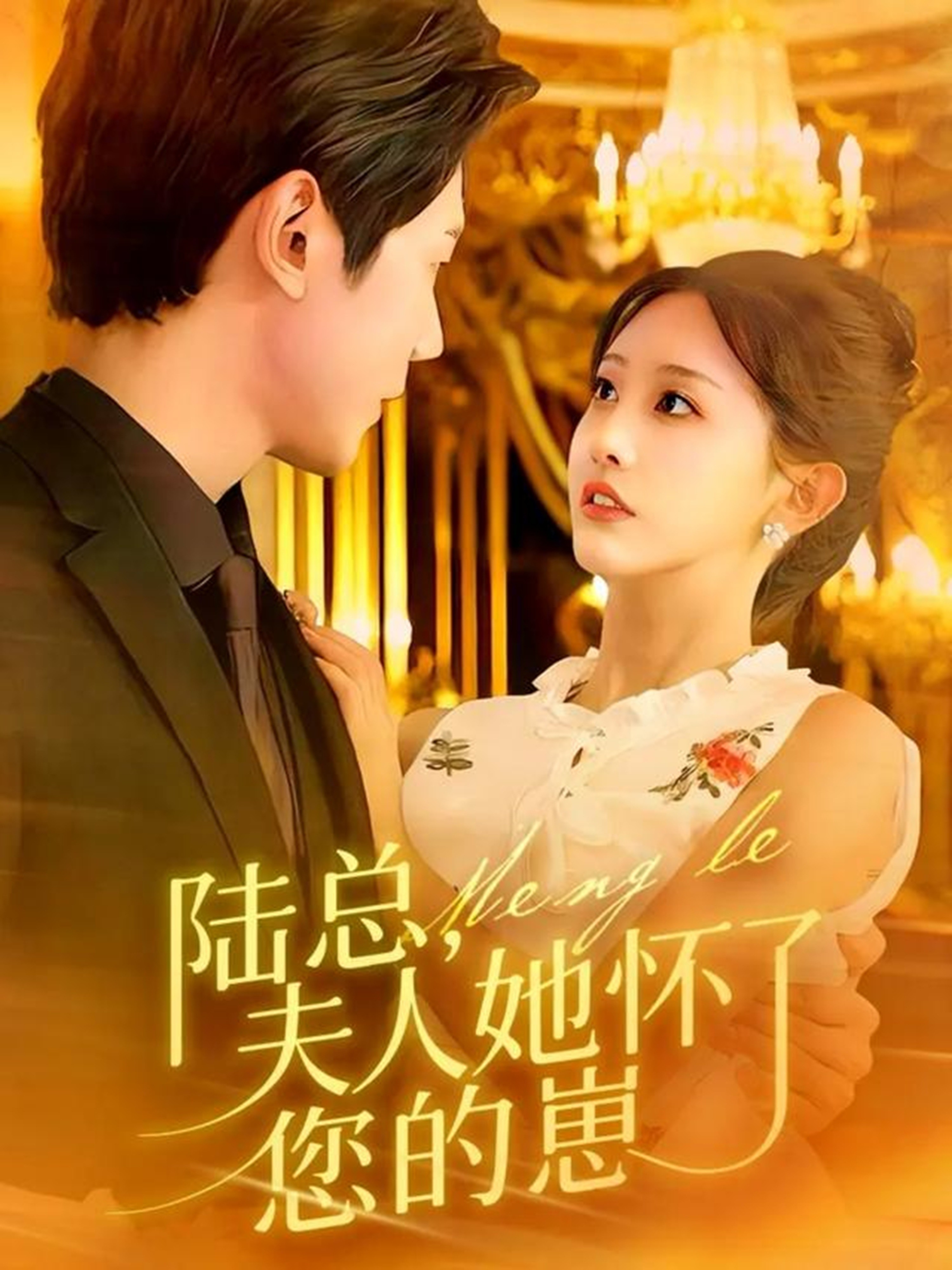 陆总夫人她怀了您的崽-都市言情