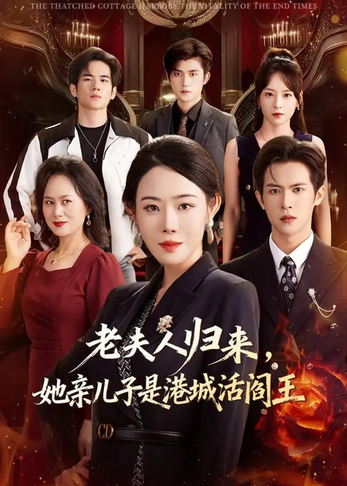 老夫人归来她亲儿子是港城活阎王-都市日常海报
