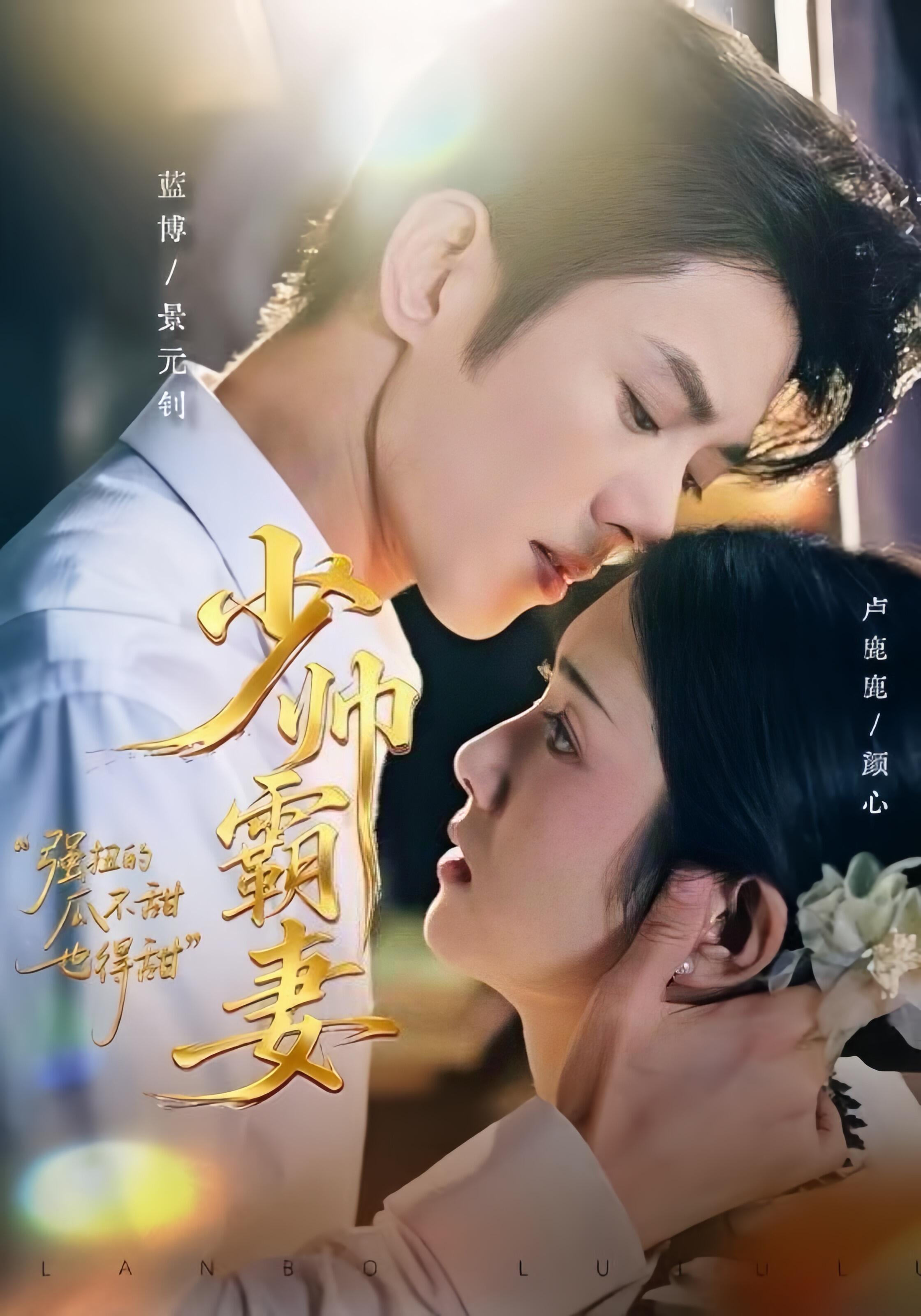 少帅霸妻强扭的瓜不甜也得甜-现代重生海报