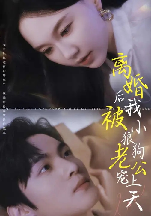离婚后我被小狼狗老公宠上天-都市言情海报