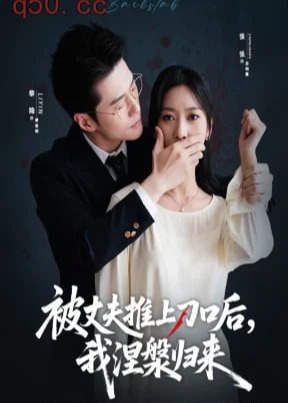 复婚抱歉我只谈判不谈情-都市情感海报