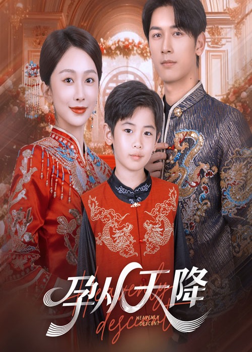 孕从天降-家庭情感海报