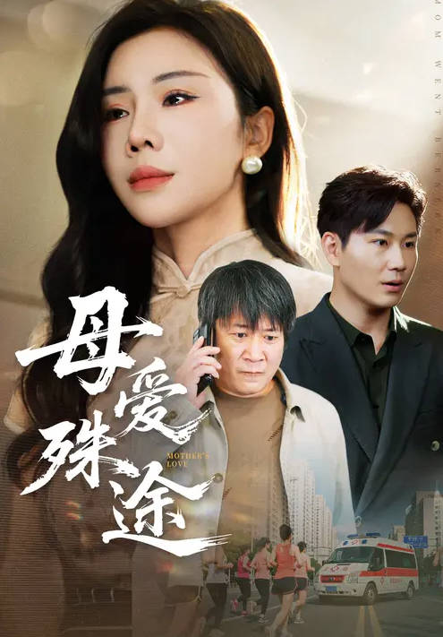 母爱殊途-家庭情感海报