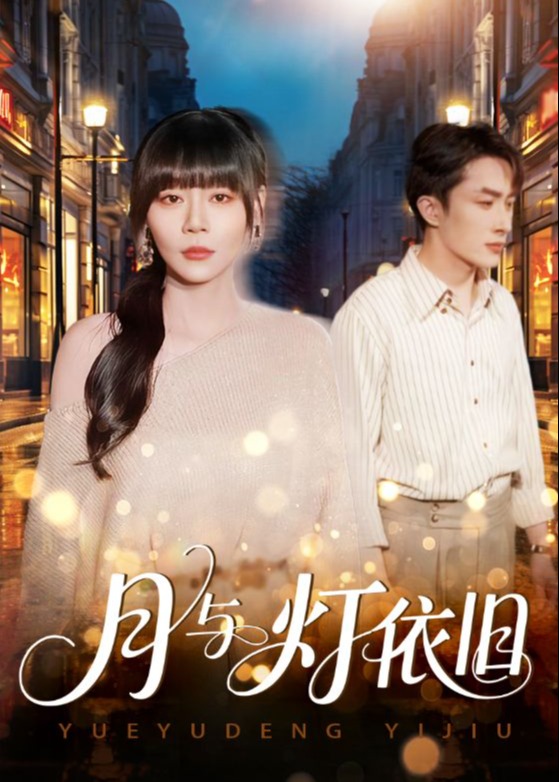 月与灯依旧-都市言情海报