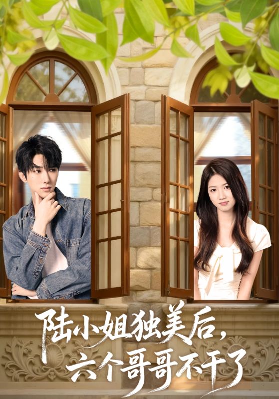 陆小姐独美后六个哥哥不干了-都市言情海报