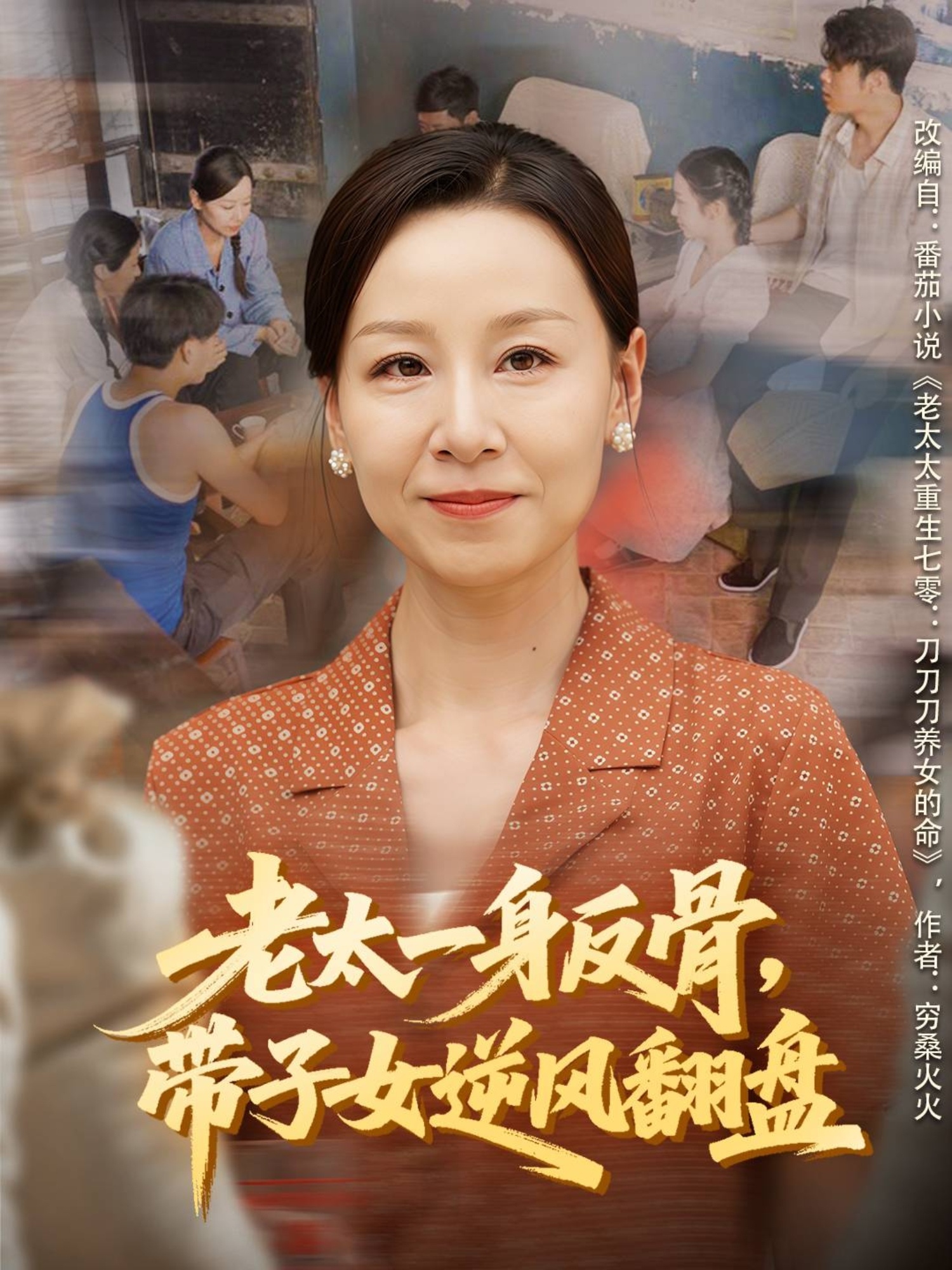 老太一身反骨带子女逆风翻盘-都市逆袭海报
