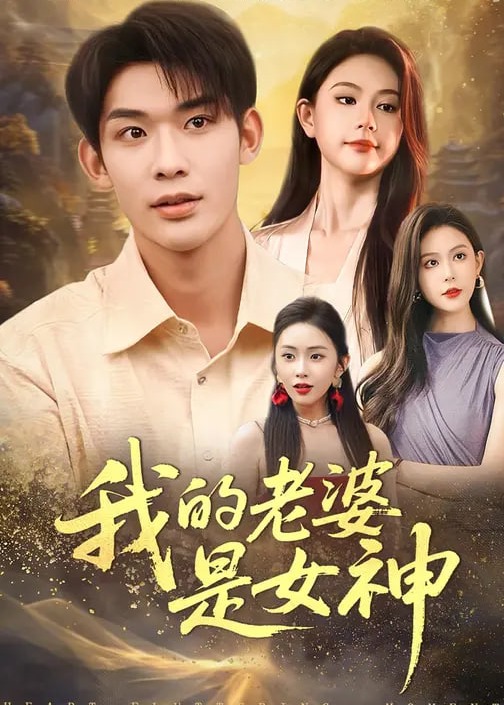 我的老婆是女神-都市言情海报