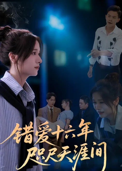 错爱十六年咫尺天涯间-都市情感海报