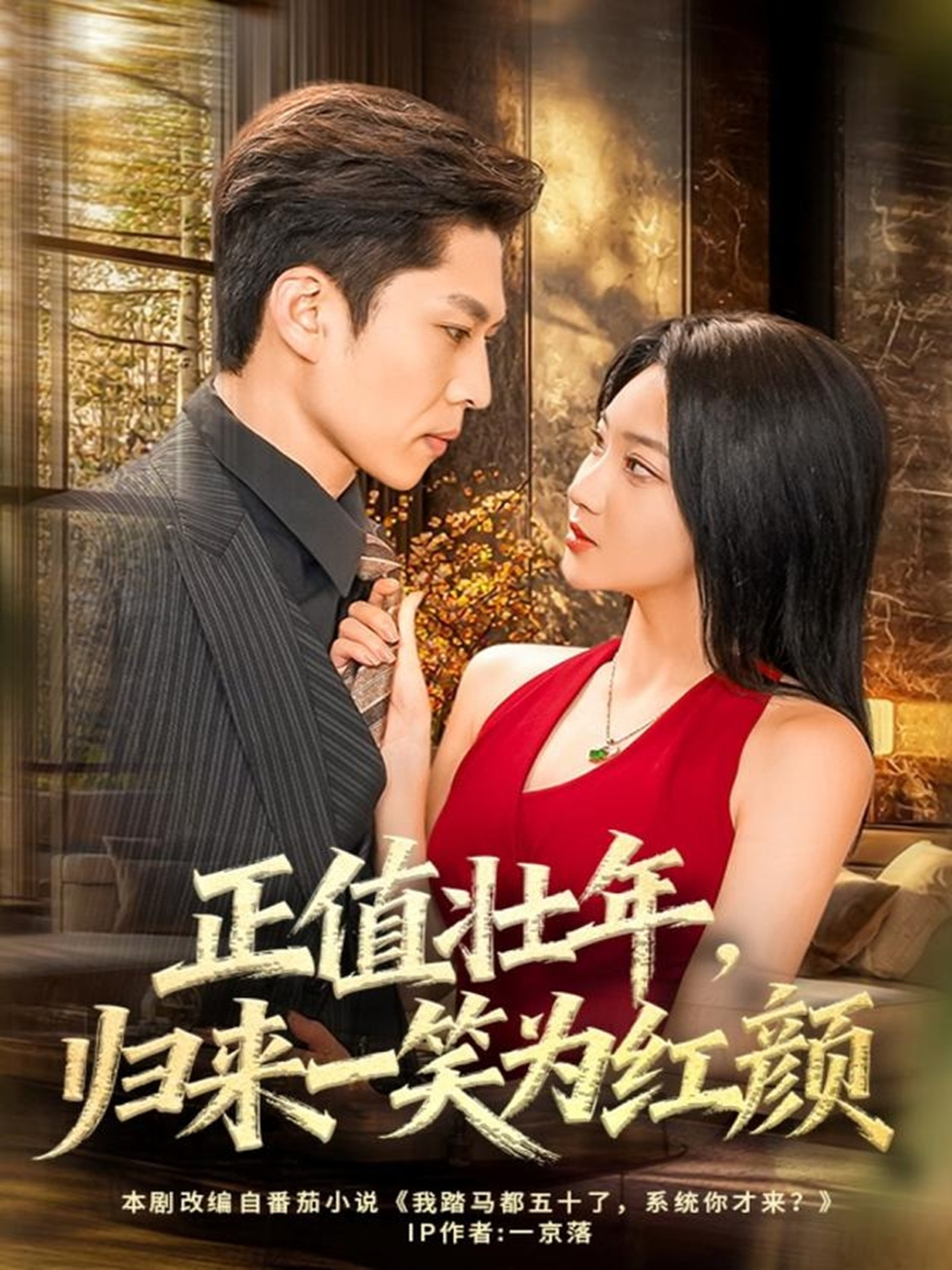 正值壮年归来一笑为红颜-都市言情