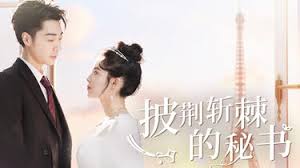 披荆斩棘的秘书-都市言情