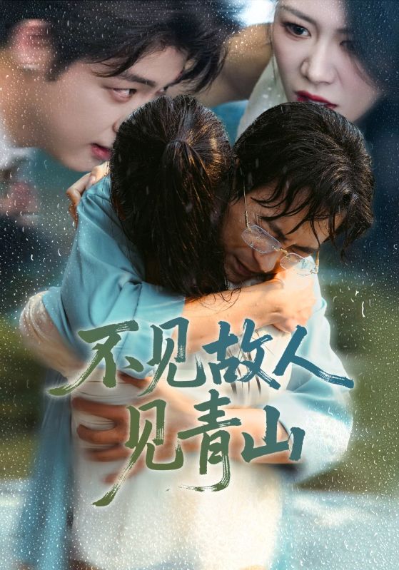 不见故人见青山-都市日常海报