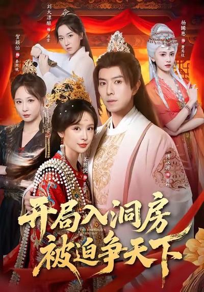 开局入洞房被迫争天下-古代穿越海报