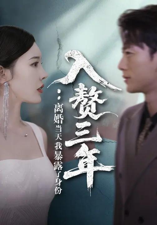 入赘三年离婚当天我暴露了身份-现代逆袭海报