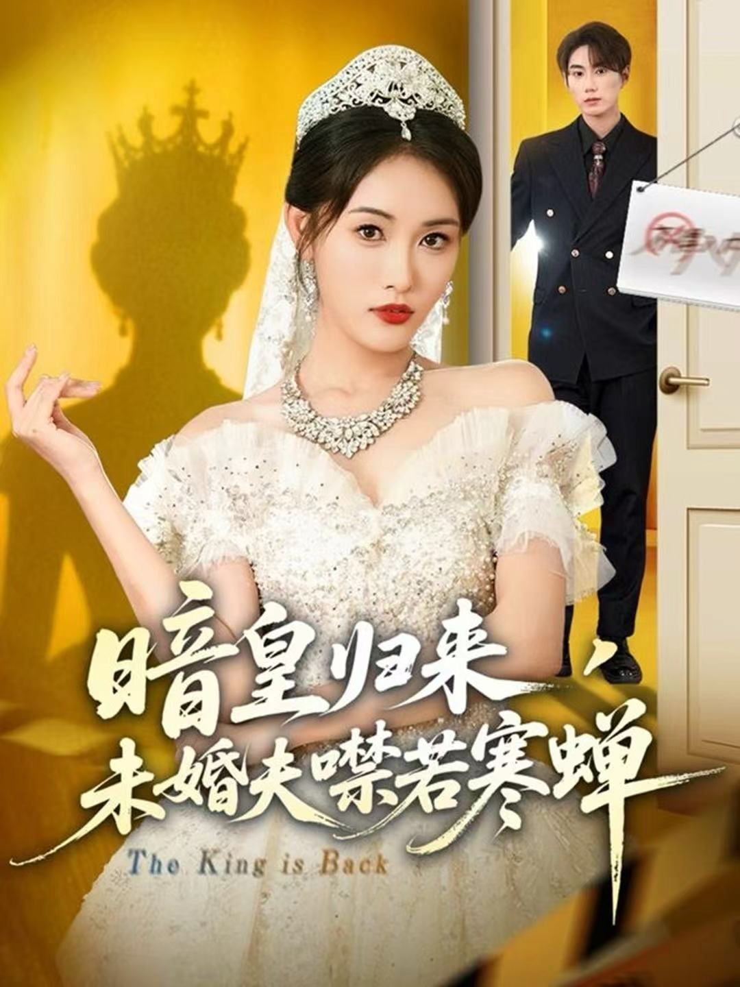 暗皇归来未婚夫噤若寒蝉-都市逆袭海报