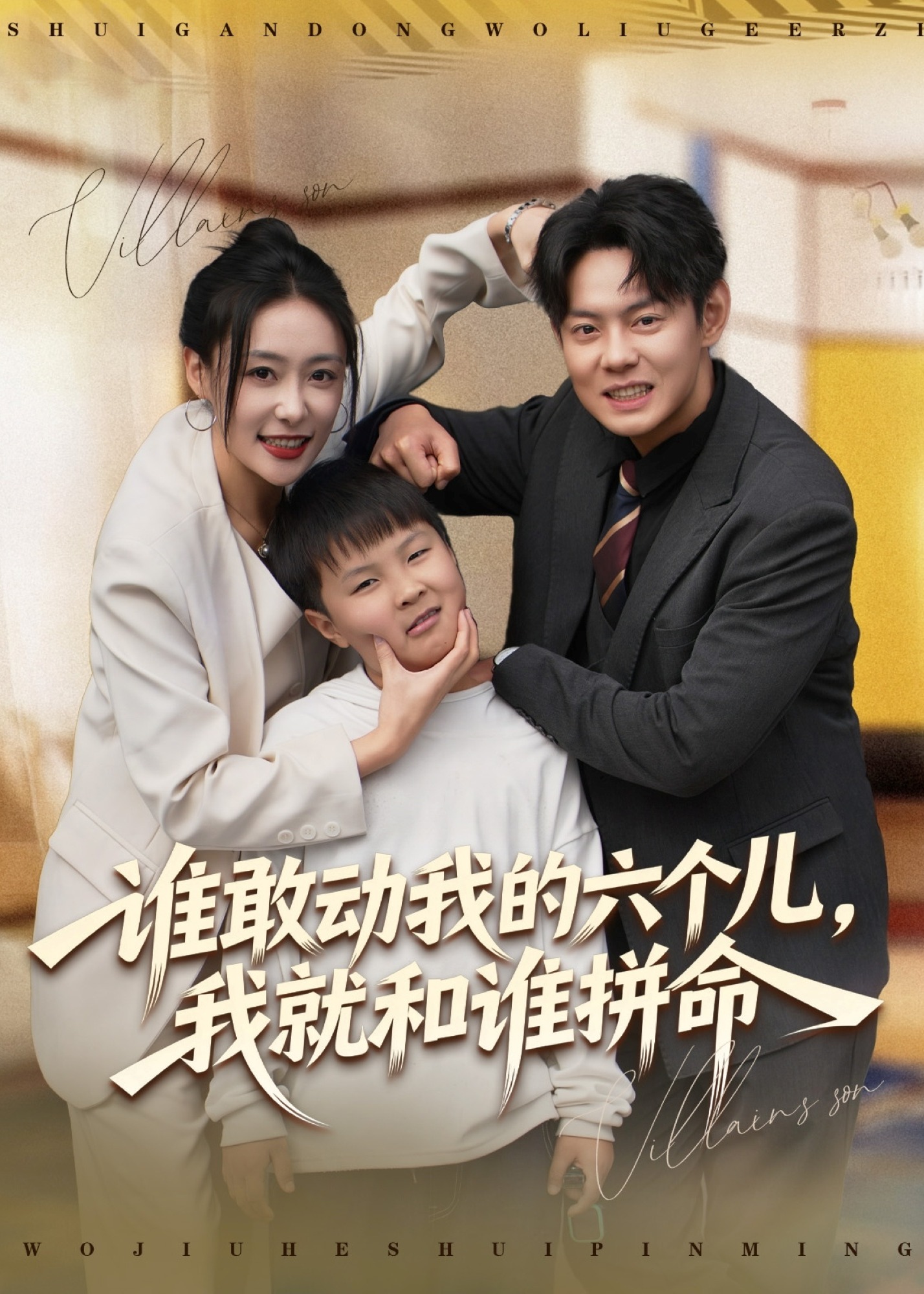 谁敢动我的六个儿我就和谁拼命-家庭情感海报