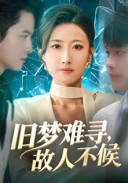 旧梦难寻故人不候-都市言情海报