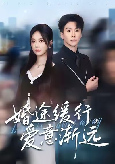 婚途缓行爱意渐远-都市言情海报