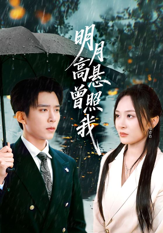明月高悬曾照我-都市言情海报