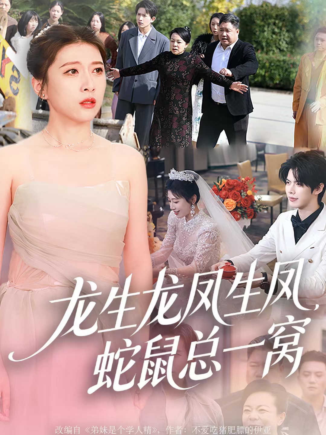龙生龙凤生凤蛇鼠总一窝-家庭情感海报