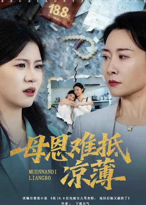 母恩难抵凉薄-都市日常海报