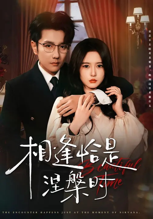 相逢恰是涅槃时-都市言情海报