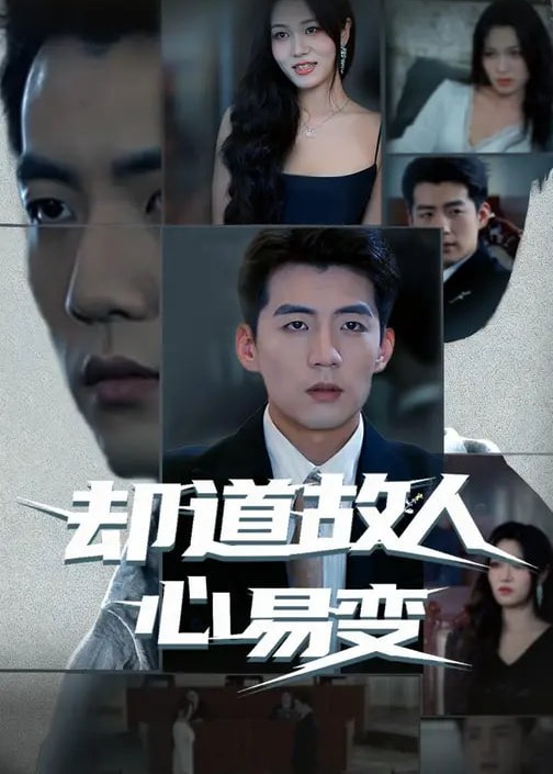 却道故人心易变-都市日常海报