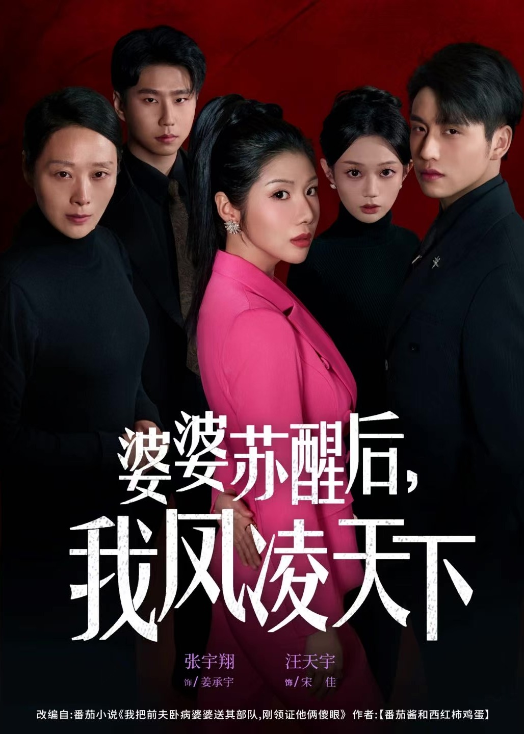 婆婆苏醒后我凤凌天下-都市逆袭海报