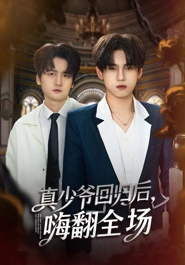 真少爷回归后嗨翻全场-家庭情感海报