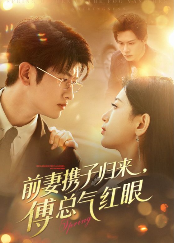 前妻携子归来傅总气红眼-现代言情海报