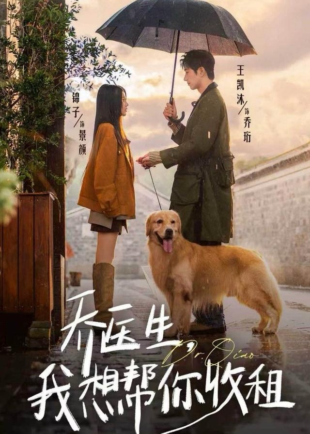 乔医生我想帮你收租-现代言情海报