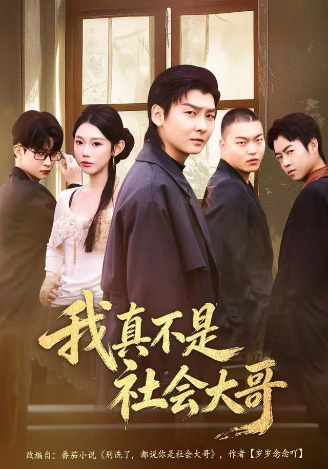 我真不是社会大哥-现代重生海报
