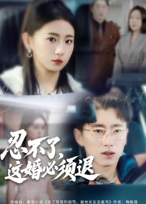 忍不了这婚必须退-都市情感海报