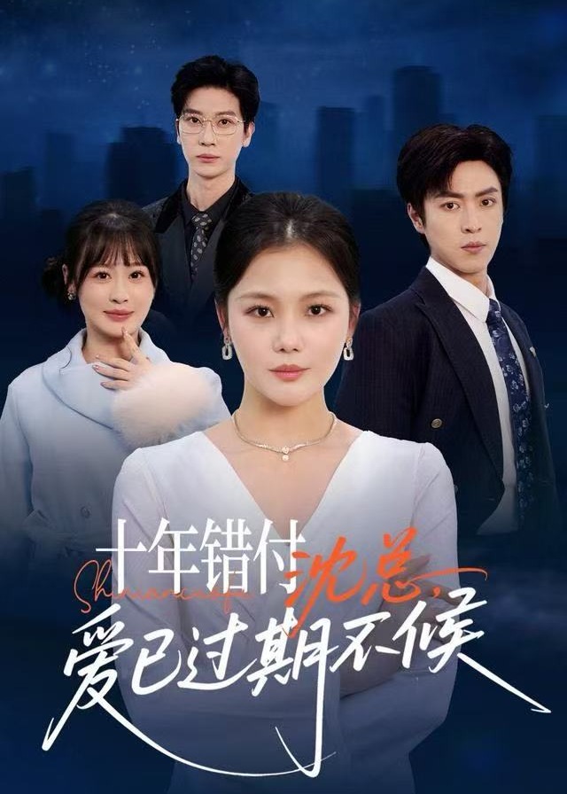 十年错付沈总爱已过期不候-都市言情