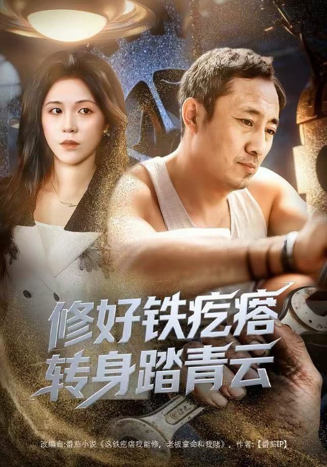 修好铁疙瘩转身踏青云-都市日常海报