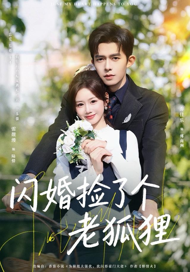 闪婚捡了个老狐狸-都市甜宠海报