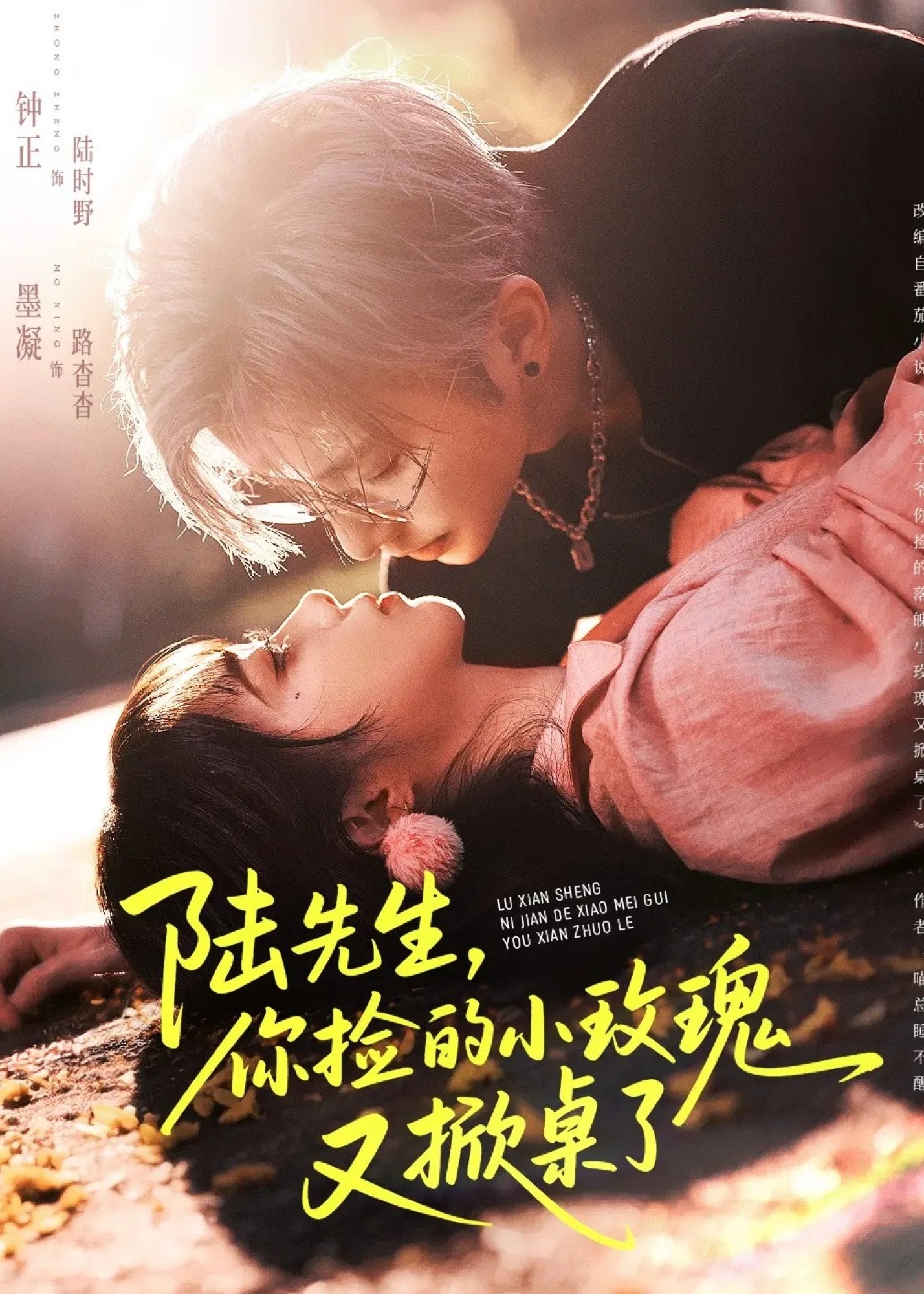 陆先生你捡的小玫瑰又掀桌了-现代甜蜜海报