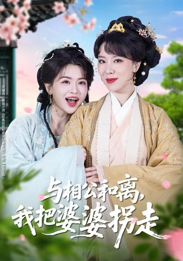 与相公和离我把婆婆拐走-古风言情海报