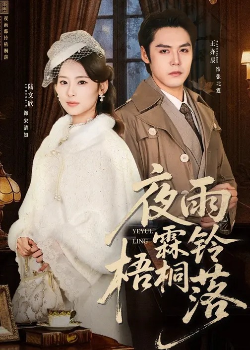 夜雨霖铃梧桐落-都市言情