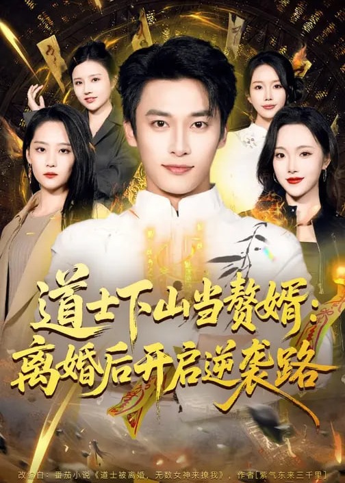 道士下山当赘婿离婚后开启逆袭路-都市玄幻海报