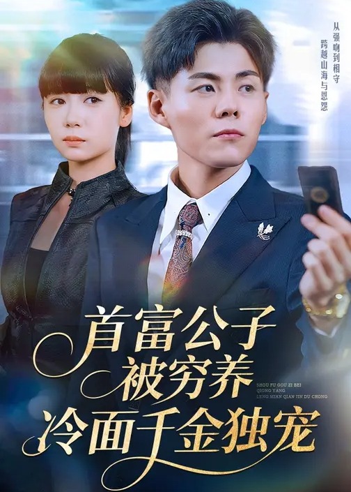 首富公子被穷养冷面千金独宠-都市甜宠海报
