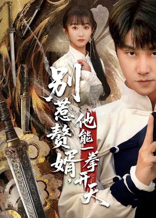 别惹赘婿他能一拳开天-现代玄幻海报