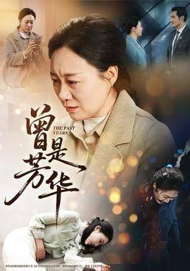 曾是芳华-家庭情感海报