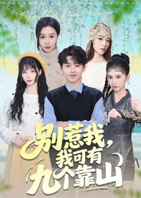 别惹我我可有九个靠山-都市言情海报