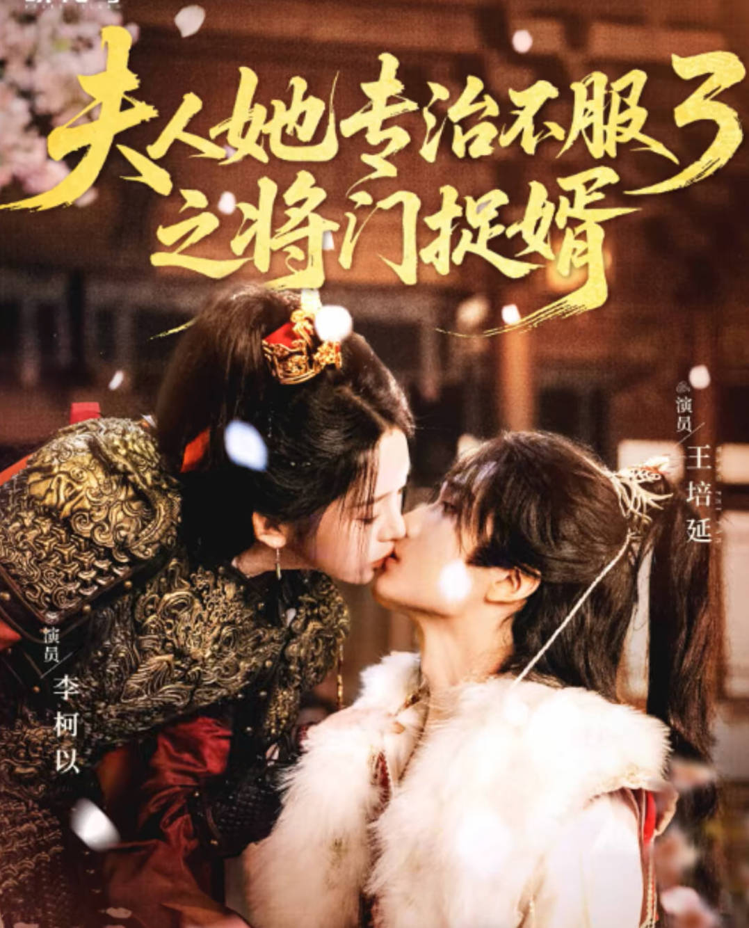 夫人她专治不服3之将门捉婿-古代穿越海报