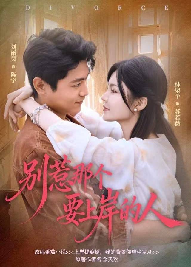 别惹那个要上岸的人-都市言情海报