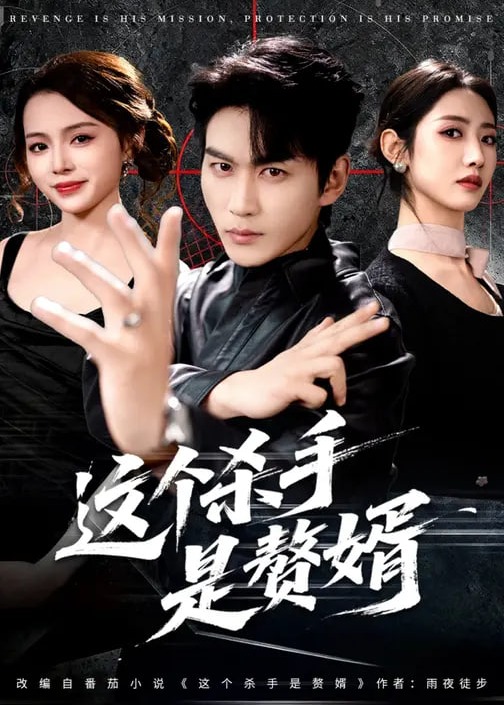 这个杀手是赘婿-强者归来海报