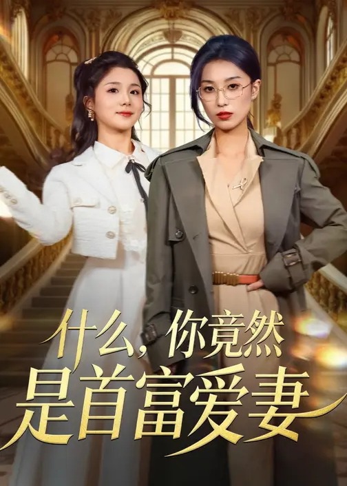 什么你竟然是首富爱妻-都市言情海报